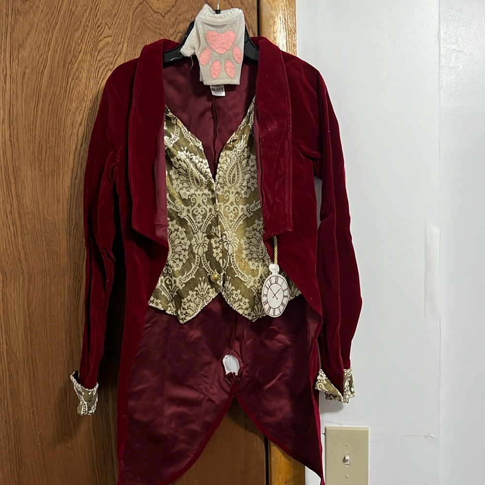 MadHatter Costume